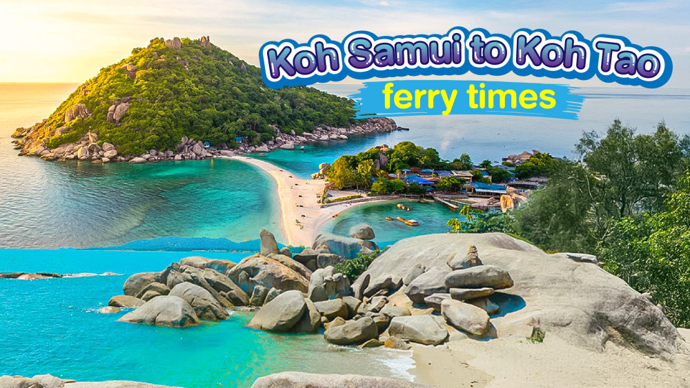 Koh Samui to Koh Tao ferry times